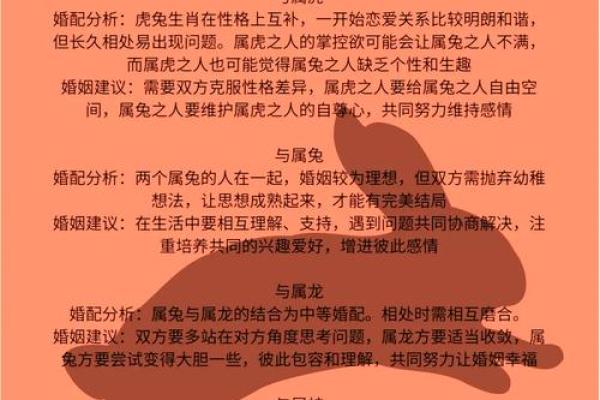 鼠和虎相配婚姻如何(鼠和虎相配婚姻如何能走到最后吗)