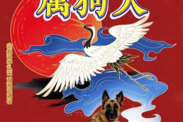 属狗和属狗的婚姻相配吗(属狗的婚配什么生肖最好)