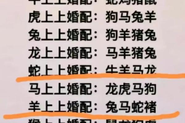 94狗男98虎女八字合不合(94的男狗和98年的女虎婚姻合不合)