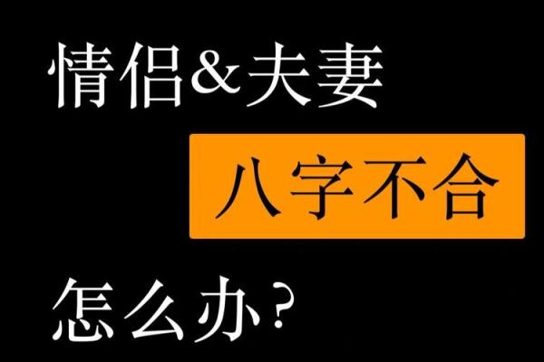 两人八字合不合怎么看(两人八字合不合怎么看免费)