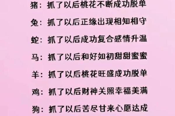 十二生肖婚姻配对表(十二生肖婚姻配对表鸡和狗)