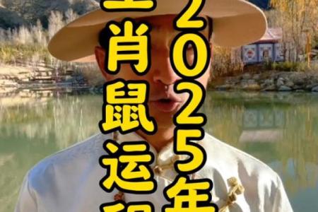 84年女鼠2025年属鼠人的全年运势(84年女鼠2025年属鼠人的全年运势十月一四)