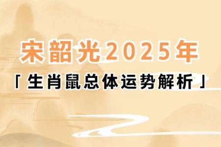 属鼠人2025年全年运势(2025年属鼠人命运)