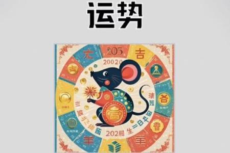 属鼠今年运势2025年运势如何(属鼠人2025年的运势)