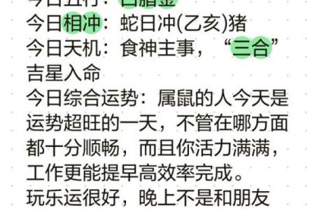 属鼠的今天的运势和财运(属鼠的今天的运势和财运如何)