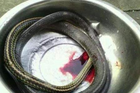 梦见自己把蛇打死是什么兆头