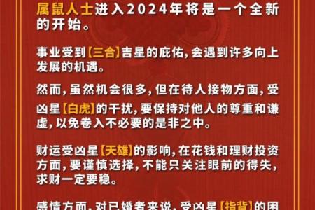 1984年属鼠人2025年运势及运程(1984年属鼠人2025年运势运程每月运程卜易居)