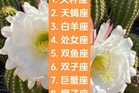 天秤座女生今日运势(天秤座女生今日运势最佳)