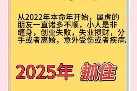 属虎2025年全年运势及运程(属虎2025年全年运势及运程详解视频)