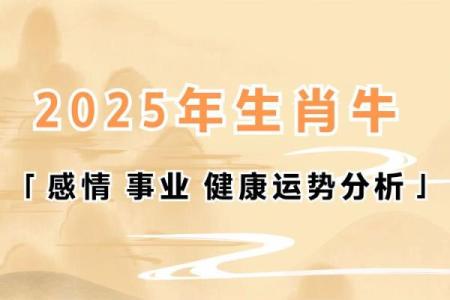 1997年属牛人2025年的运势和婚姻(属牛人的婚姻命运如何)