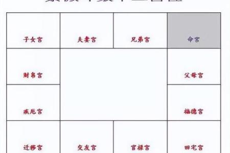 免费紫微斗数排盘(免费紫微斗数排盘含义详解)