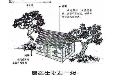 老家宅子与子女的风水(家里老宅子对后人影响)