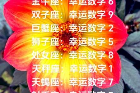 金牛座运势今日运势(金牛座运势今日运势查询第一星座网)