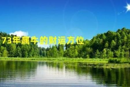属牛今日运势偏财运(属牛今日运势偏财运非常网)