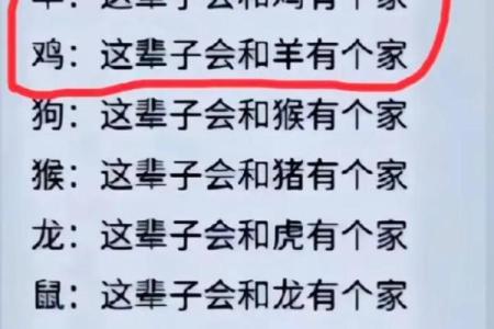 女鼠和男虎相配婚姻如何(女鼠和男虎相配婚姻如何能走到最后吗)