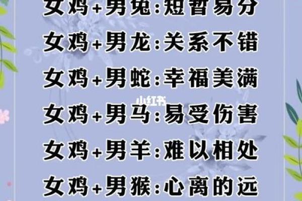 鼠和狗相配婚姻如何(猴鼠婚配的婚姻如何)