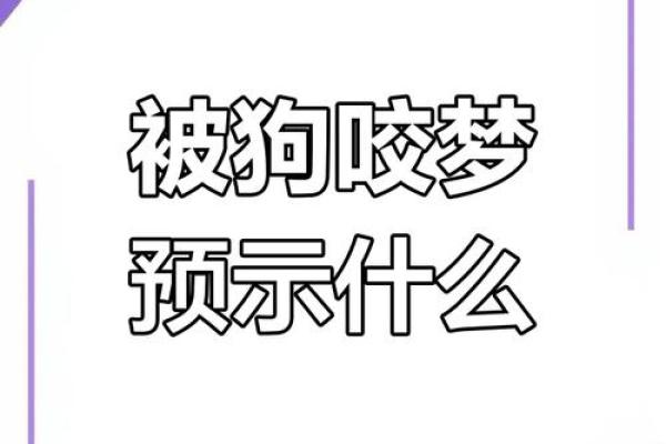 梦见儿子被狗咬