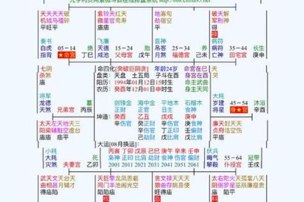 紫微斗数子女宫(紫微斗数子女宫化禄入命宫)