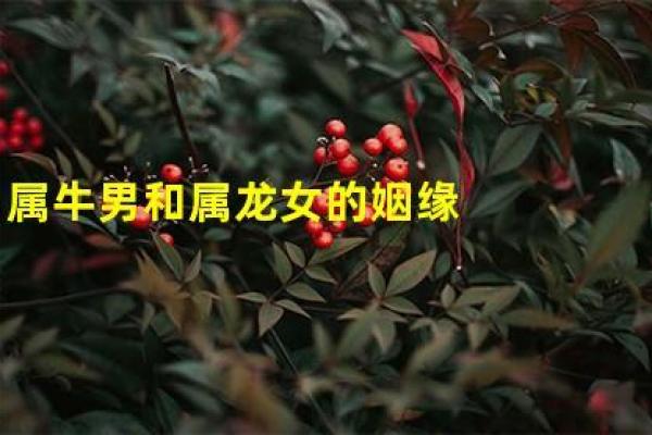 97年和01年婚姻相配吗(97年和01年婚姻相配吗为什么)