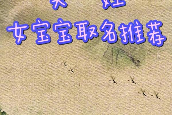 男孩取名字寓意好的字(姓吴的男孩取名字寓意好的字)