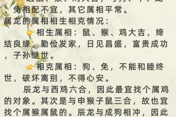 属虎和属鼠的婚姻相配吗(属鼠的婚配什么属相)