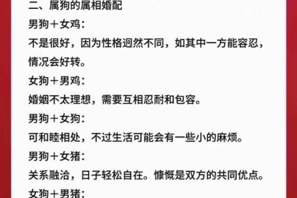 属狗的和属兔的婚姻相配吗(属狗的和属兔的婚姻合吗)