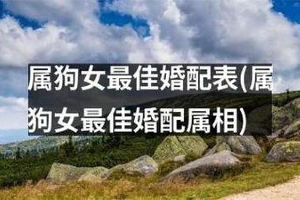 属狗女和属猪男婚姻相配吗(属狗女和属猪男婚姻相配吗合适吗)