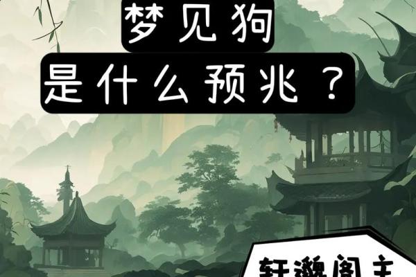 梦见狗追咬自己是什么意思 梦见狗追咬自己是什么意思