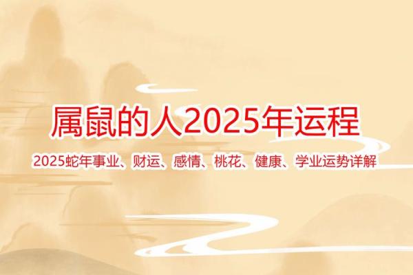 2026年属鼠人的全年运势详解(属鼠的人2025鼠年全年运程)
