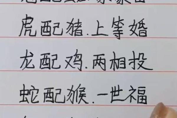 蛇和兔相配婚姻如何(蛇和兔相配婚姻如何 适合在一起吗女生)