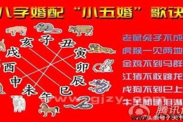 96男鼠99女兔八字合不合(96男鼠99女兔生什么属相的宝宝)