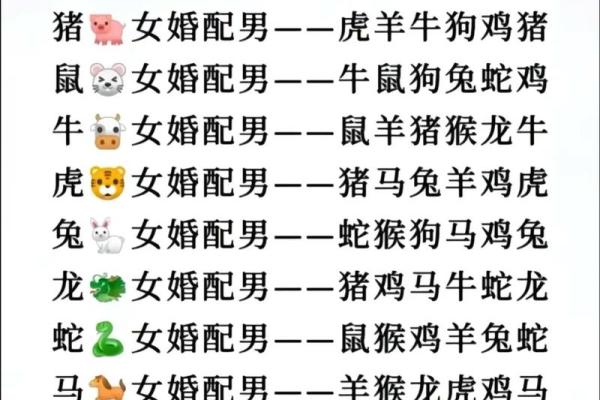 男鼠和女鸡相配婚姻如何(男鼠和女鸡的婚姻状况)
