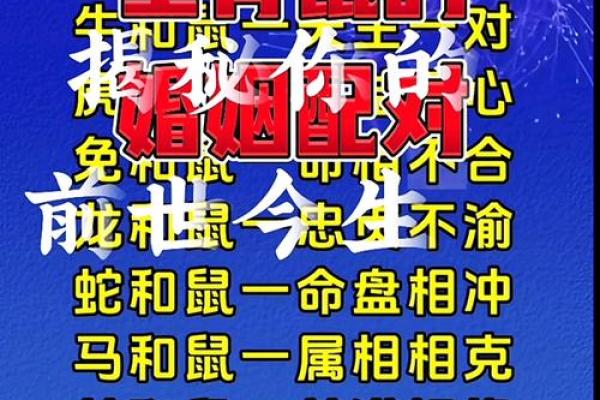 男鼠和女鸡相配婚姻如何(男鼠和女鸡的婚姻状况)