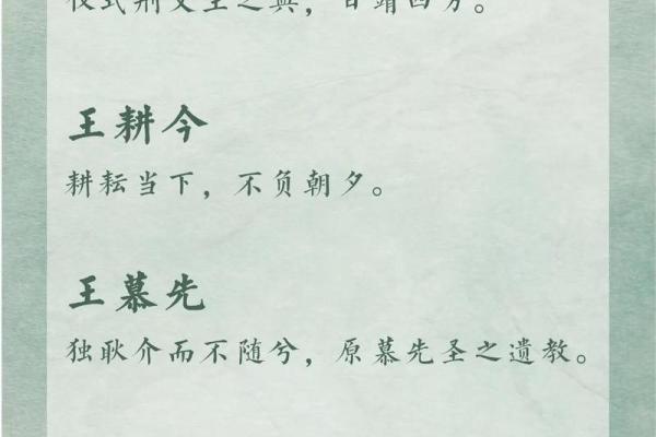 95分以上王姓男孩名(王姓男孩起名化100分)