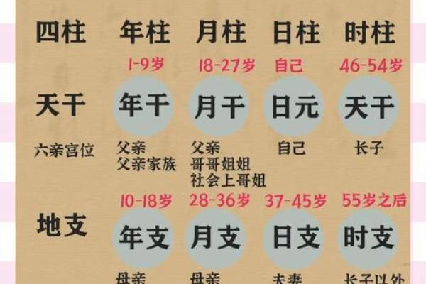 四柱八字排盘(免费版)(四柱八字排盘免费版官网)