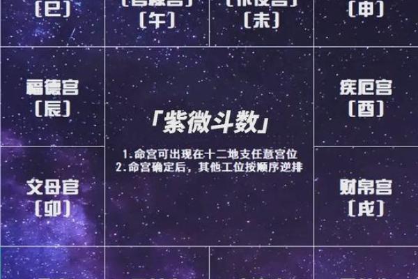 紫微斗数身宫怎么查(紫微斗数身宫怎么看)