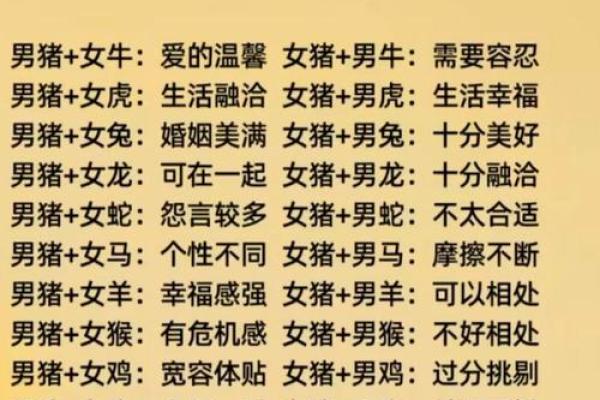 95猪男97牛女八字合不合(95猪男和97牛女八字怎么样)