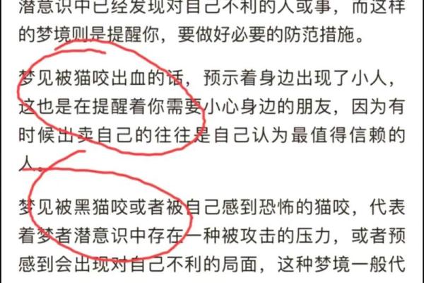 女人梦见猫身上有虫子是什么预兆