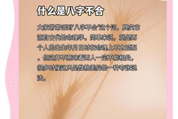 93鸡男98虎女八字合不合(93鸡男98虎女八字合不合94)