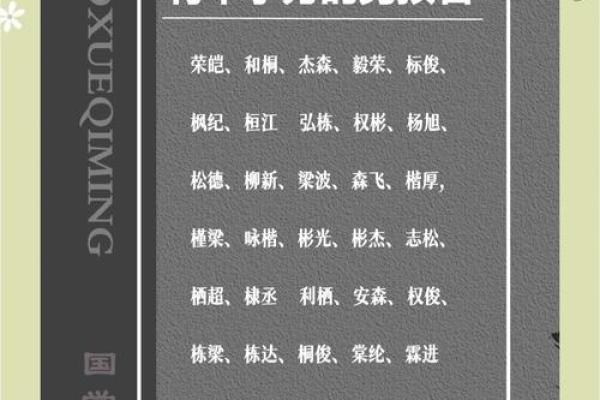 木字旁的字男孩起名字(木字旁的字男孩起名字12画)