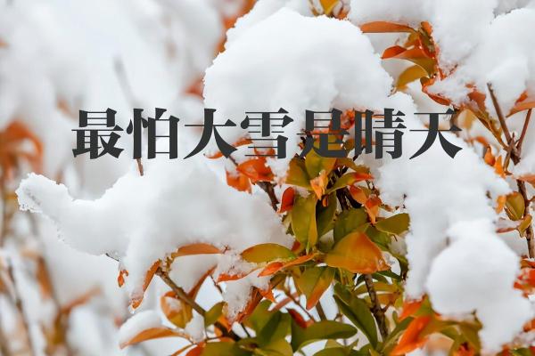 梦见晴天下雪