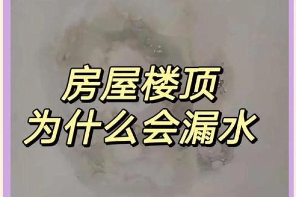 梦见自己家房顶漏水是什么意思