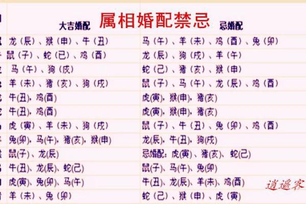 1999年属兔男婚姻配对(1999年属兔男婚姻配对指数)
