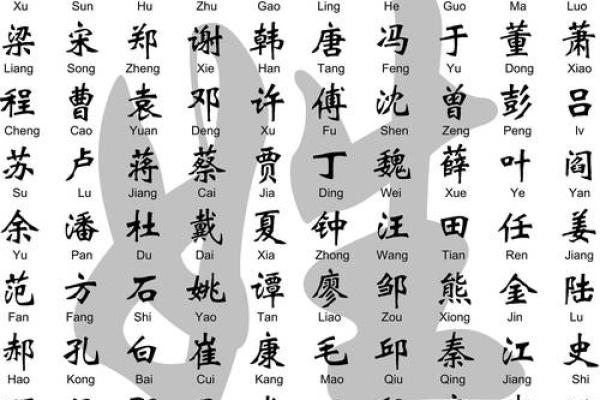 带土的字女孩名字好听(补土最旺的字女孩名)
