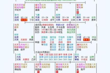 紫微斗数子女宫(紫微斗数子女宫化禄入命宫)