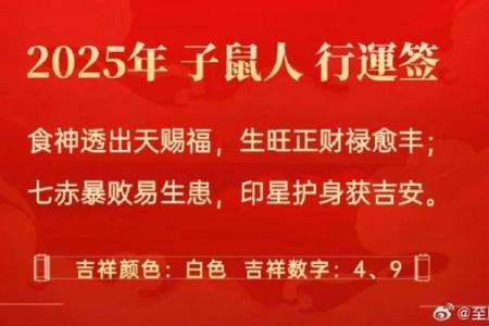 今年属鼠的运势怎么样2025(今年属鼠的运势怎么样2025的幸运色)
