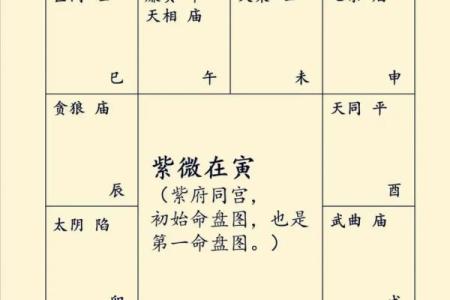紫微斗数财星有哪些(紫微斗数中的财星)