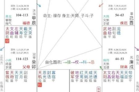 紫微斗数看配偶相貌身材(紫微斗数看配偶长相颜值)