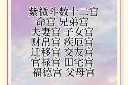 八字和紫微斗数哪个比较准(八字和紫微斗数的区别)