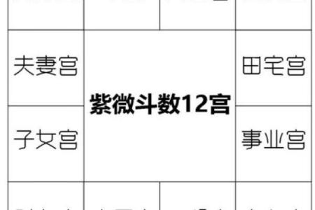 紫微斗数看配偶身材(紫微斗数看配偶身材)
